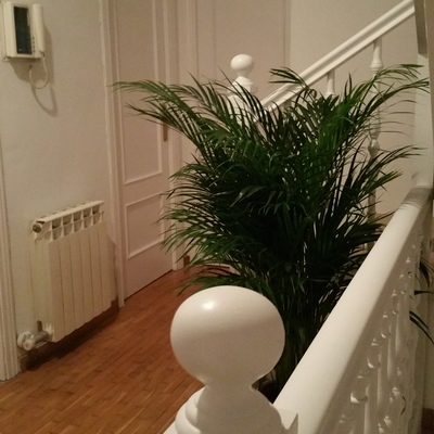 Esmaltado de puertas y balaustres