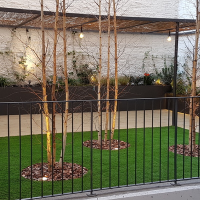 Iluminación pérgola y jardín