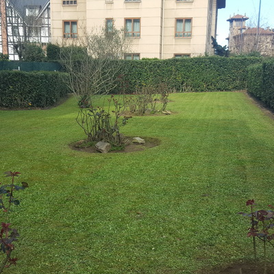 Mantenimiento de jardín