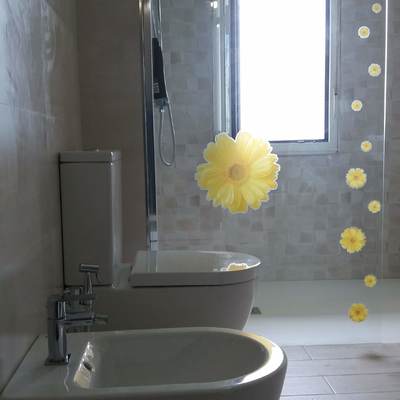 Reforma de baño, alicatado, colocación de plato de ducha y colocación de sanitarios.