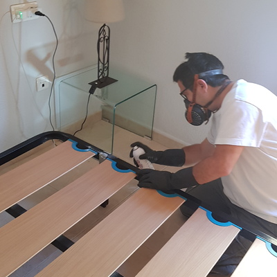 Tratamiento contra chinches