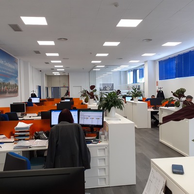 paneles absorbentes techo oficina