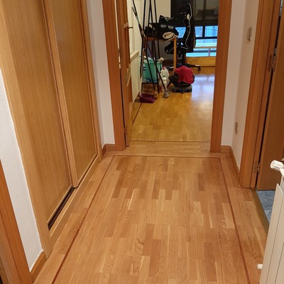 Limpieza Síndrome de Diógenes.