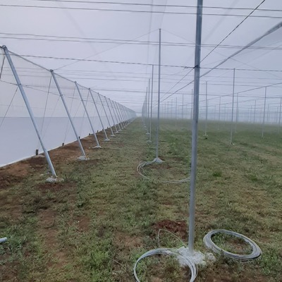 Construcción de invernadero tipo parral o casasombra  o umbraculo