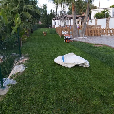 Mantenimiento de jardines y piscinas