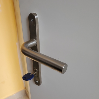 Maneta de puerta principal