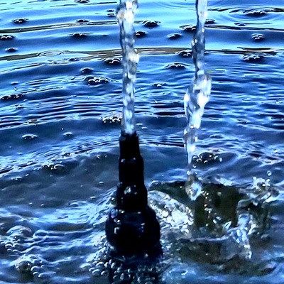 Realización de estanque en jardín de una vivienda