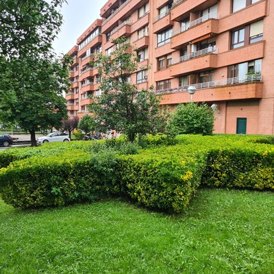 Diseño y paisajismo