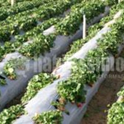 Ingenieros, Medio Ambiente, Topografía