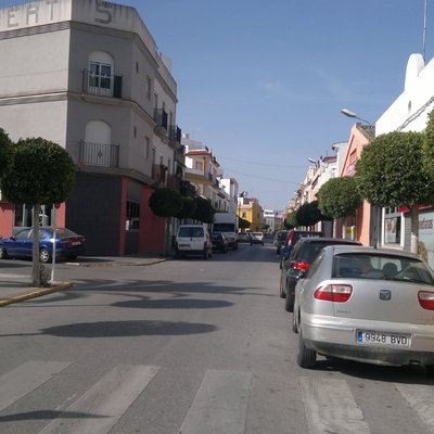 arboleda en calle Vicente Aleixander