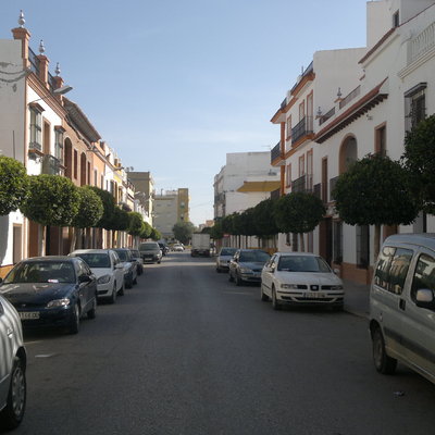 arboleda en calle betis