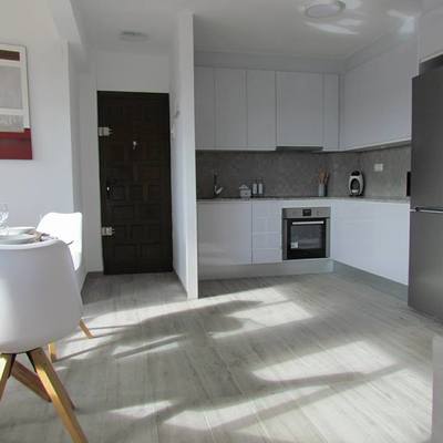 COCINA-SALÓN 1 reformado y acabado