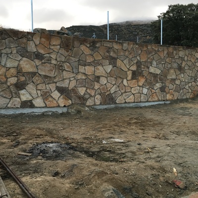 Resuelo desconcertado