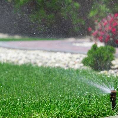 Fresh Garden Jardinería en Torrelodones