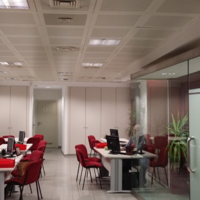 Proyecto de actividad de inmobiliaria