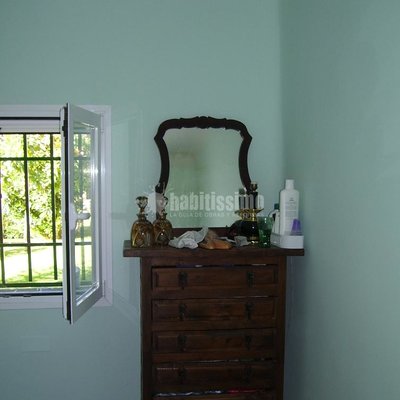 Pintores, Artículos Decoración, Escayola