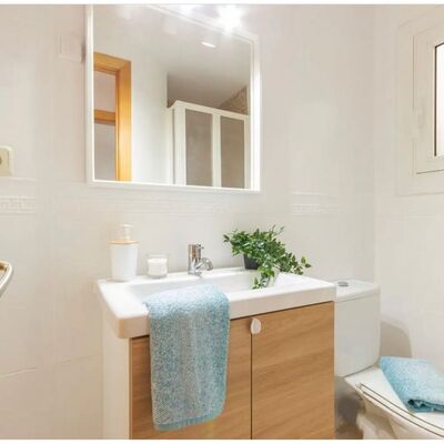 Baño modificado la muela