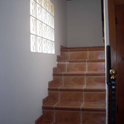 Construcción Casas, Pintores, Reformas Chalets