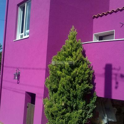 Rehabilitación Fachadas, Artículos Decoración, Pintura General