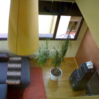 Pintores, Obras Menores, Artículos Decoración