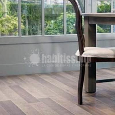 Parquetistas, Ventanas, Decoración