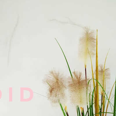 Pared de Microcemento