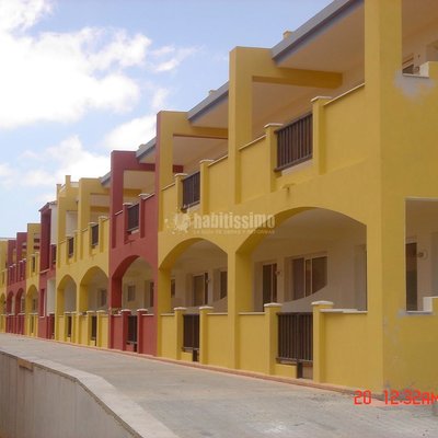 Pintores, Obras Menores, Pintura Decoración