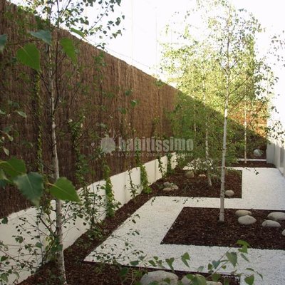 Paisajistas, Técnicos, Podas