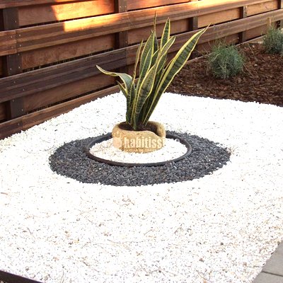 Paisajistas, Podas, Mantenimiento Jardines