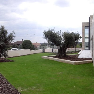 Paisajistas, Mantenimiento Jardines, Podas