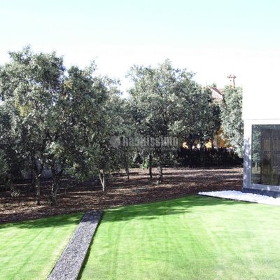 Paisajistas, Mantenimiento Jardines, Artículos Decoración