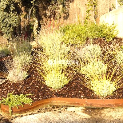 Paisajistas, Técnicos, Diseño Jardines