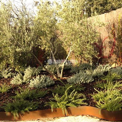 Paisajistas, Podas, Artículos Decoración