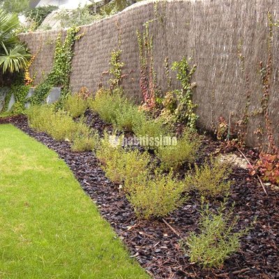 Paisajistas, Podas, Mantenimiento Jardines