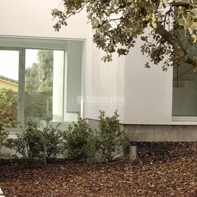 Paisajistas, Podas, Mantenimiento Jardines