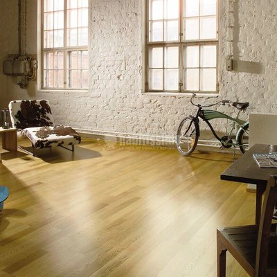 Decoradores, Artículos Decoración, Técnicos