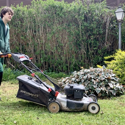 Trabajos de jardinería