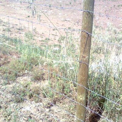 Cerramientos, Vallado Parcelas, Alambradas