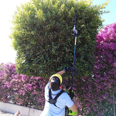 SERVICIO DE JARDINERIA