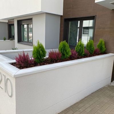 Diseño de jardinera con planta de poco mantenimiento