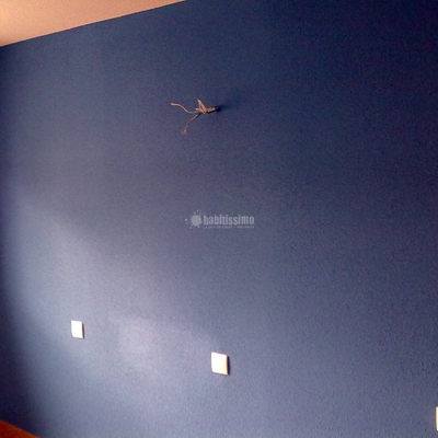 Pintores, Obras Menores, Pintura Decorativa