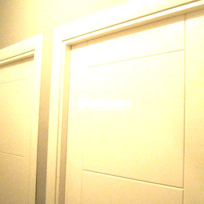 Pintores, Escayola, Tarimas