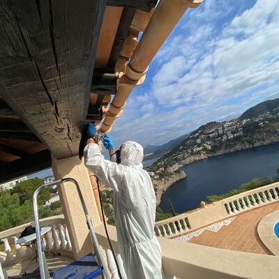 Control insectos madera