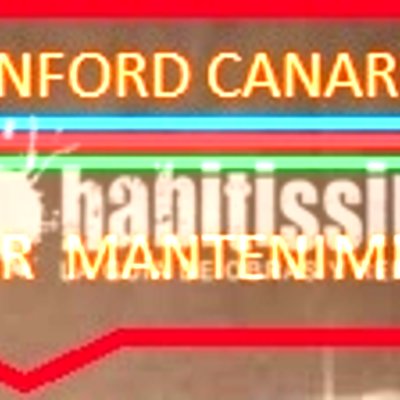 Albañiles, Suelos, Tejados