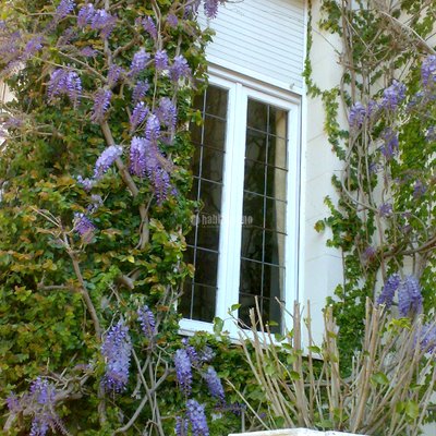 Jardineros, Construcción, Piscinas