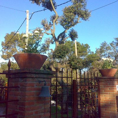 Jardineros, Jardín, Construcción Piscinas