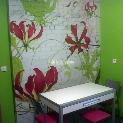 Artículos Decoración, Decoración, Estores Enrollables