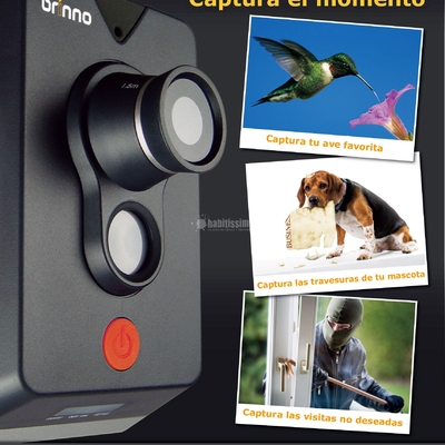 Carpintería Madera, Interiores, Escaleras