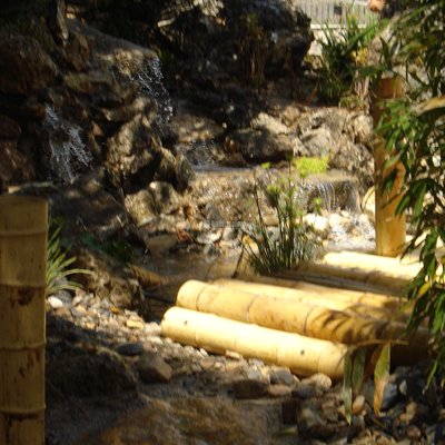 Paisajistas, Artículos Decoración, Técnicos