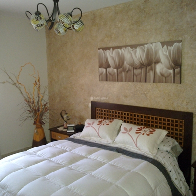 Pintores, Artículos Decoración, Barnizados Lacados